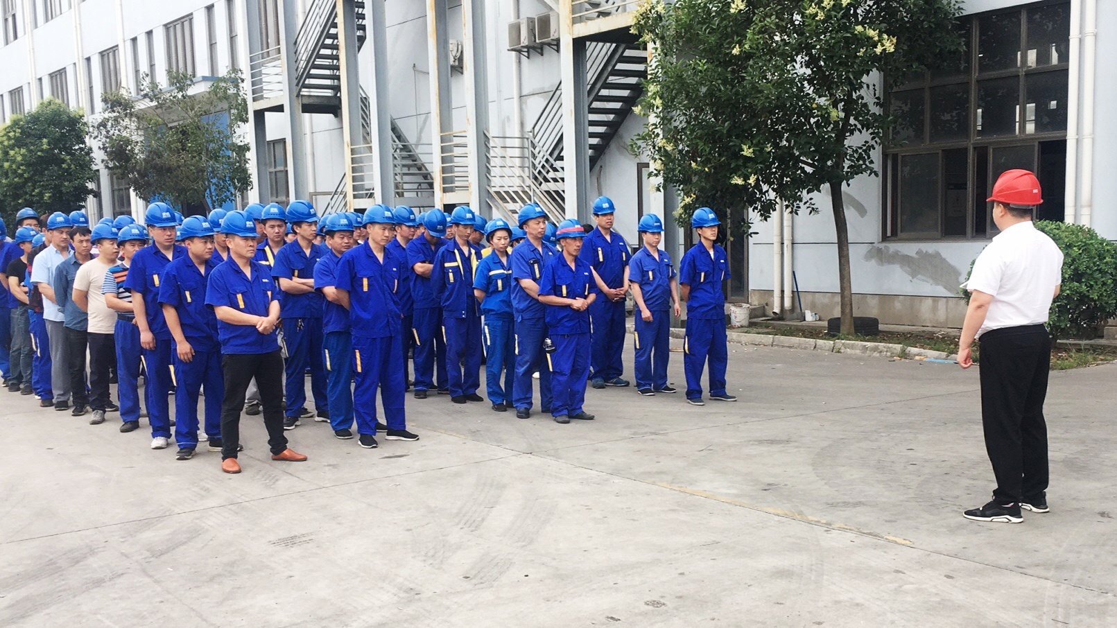 1560735401494984.jpg 1560735401494984.jpg