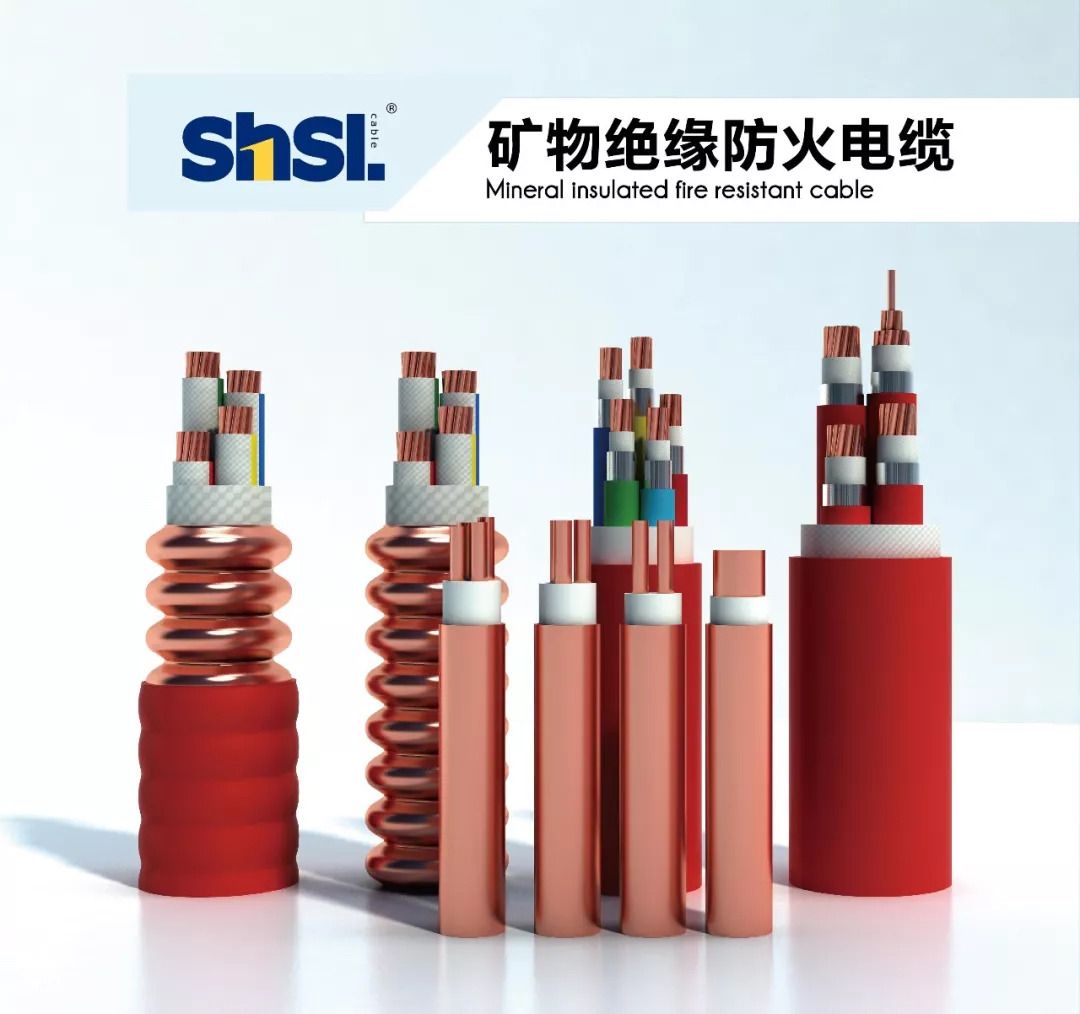 1570502409677052.jpg 區(qū)政協(xié)主席陳勇章一行蒞臨上海浦東電線電纜集團(tuán)2.jpg